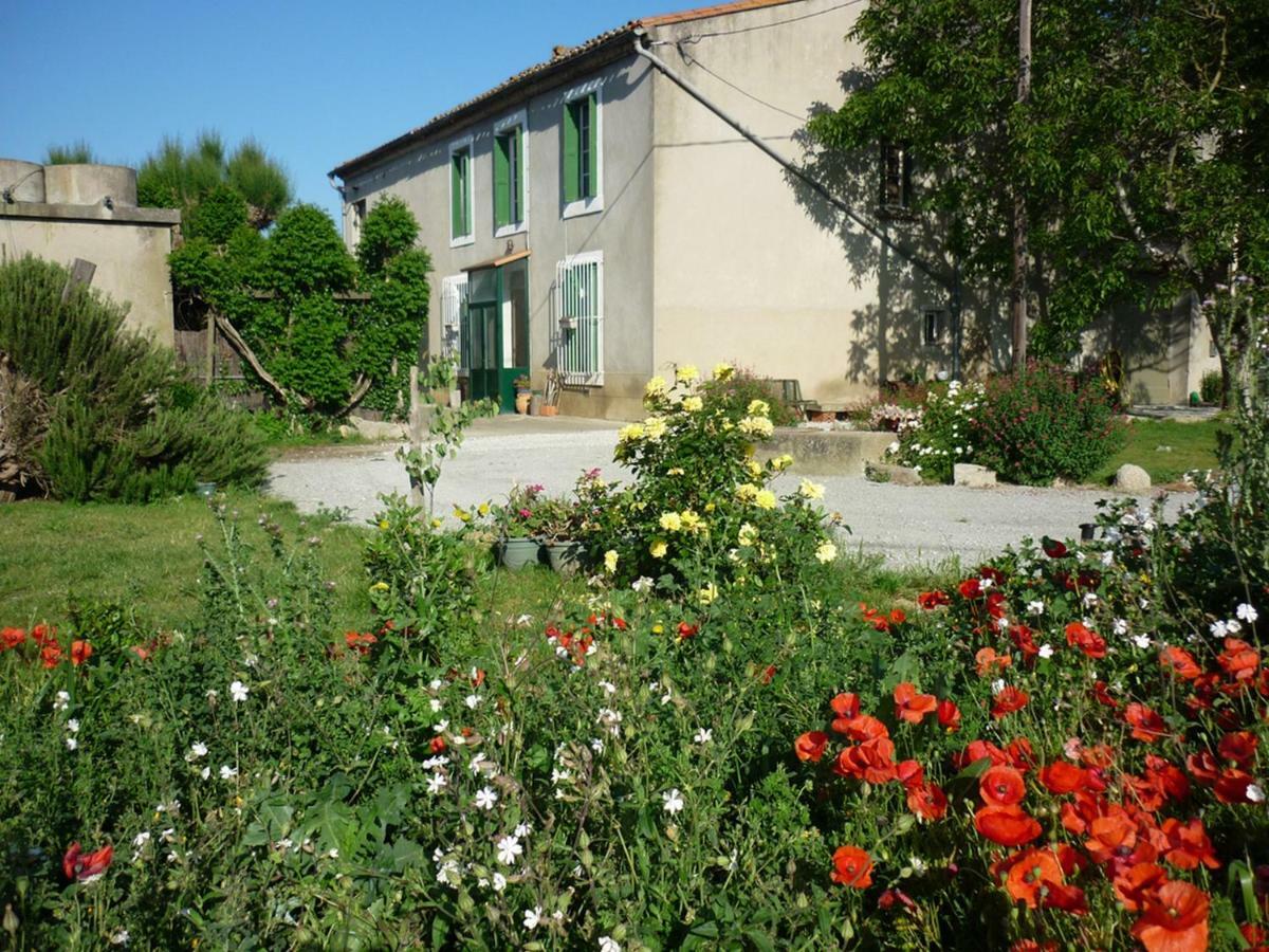 Virevent Villa Carcassonne Luaran gambar